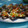 El cooksnap de Equipo Cookpad cuando hizo Mejillones a la vinagreta.