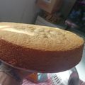 El cooksnap de Monica Mosqueira cuando hizo Bizcochuelo para Tortas.