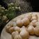 Cooksnap dari Tasya Kharista untuk resep Chapssal / Donat Tepung Ketan ala Korea