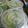 Cooksnap dari Mama Zain untuk resep Es Kuwut Melon Kw