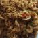 Cooksnap dari Dyinov untuk resep Ebi tumis kering