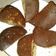Cooksnap dari Dapoer GoRiCa untuk resep Dorayaki Doraemon