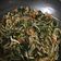 Cooksnap dari Yunita Yesi untuk resep Tumis/Oseng Kangkung Taoge