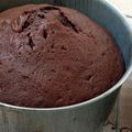 کوک اسنپ کیک 🎂 شیرینی🍩 گل نرگس 🌼 بعد از امتحان کردن کیک کاکائویی.