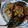 Cooksnap dari Uswatun Hasanah untuk resep Lele Goreng Kremes