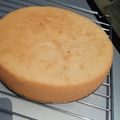 Ayshat Adamawa(U. Maduwa)'s cooksnap of when they made Ideal Super Moist Sponge Cake.