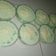 Cooksnap dari ci_flo untuk resep Buko Pandan