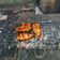 Cooksnap dari waazi virgina untuk resep Patin Bakar Khas Kalimantan Selatan