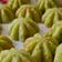 Cooksnap Fatin Aminah semasa beliau membuat Kuih cara manis lembut gebu.