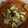 El cooksnap de Maria Jose Lopez Cruz cuando hizo Cocochas de Merluza en Salsa Verde rápida y sencilla.
