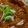 Marthak Jolly's cooksnap of when they made ફરાળી પનીર ભુરજી સબ્જી (Farali Paneer Bhurji Sabji Recipe In Gujarati).