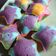 Cooksnap dari Meysha Hannisa Putri untuk resep Bolu kukus anti gagal