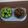 Jigna Patel's cooksnap of when they made ગુંદા નું શાક (Gumberry Sabji Recipe In Gujarati).