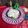 Saroj Shah's cooksnap of when they made ચોખા ની ખીર (Rice Kheer Recipe In Gujarati).