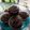 Cooksnap dari siti untuk resep Triple choco cup cake