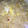 Cooksnap dari Siswaty Elfin Bachtiar untuk resep Nasi Goreng Ikan Asin