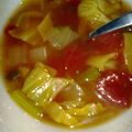 featherofmaat's cooksnap of when they made Celery Cabbage Soup.