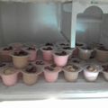 Cooksnap dari Ana Kurniasari untuk resep Es krim lumer