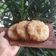 Cooksnap dari Arin Styorahayu untuk resep Kue cucur berserat