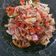Cooksnap dari Missdewi Oh Dewi untuk resep Ayam Suir Sambal Matah khas Bali