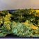 Cooksnap dari Melina Kho untuk resep Kale Chips