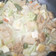 Cooksnap dari Inav Navita untuk resep Sayur Cecek Kuah Santan