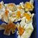 Cooksnap dari Pratiwi Qodratgalih Purnomo untuk resep Dimsum Ayam Udang