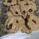 El cooksnap de Mabel Perez cuando hizo Galletas de avena, banana y pasas de uva.