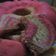 Cooksnap dari Riyyasy Azfa untuk resep Bolkus rainbow chocochip 1 telur metode all in 1