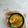 Cooksnap dari Wina Kartika untuk resep Opor Tahu Pedas #Bandungrecook2_inesetiawati