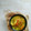 Cooksnap dari Wina Kartika untuk resep Opor Tahu Pedas #Bandungrecook2_inesetiawati
