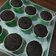 Cooksnap dari erlyna untuk resep 77- Brownies cupcake (Tintin r.)