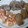 El cooksnap de jorbasmar cuando hizo Croquetas de calabaza y guisantes.