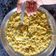 Ashika Somani का कुकस्नैप जब उन्होंने मसाला खिचड़ी(Masala khichdi recipe in Hindi) बनाया था।
