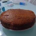 El cooksnap de Federico Morelli cuando hizo Budín de mandarinas 🍊🍊🍊en batidora..facill.