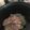 El cooksnap de queen cuando hizo Chuletas de cerdo en salsa de cerveza obscura (Olla de cocción lenta-SlowCooker).