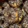 Cooksnap dari putri syuhada untuk resep Donat Empuk Menul Ekonomis