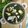 Swati Bharadwaj's cooksnap of when they made পালং পনির (Palang paneer recipe In Bengali).