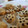 El cooksnap de Ruth_Cookpad cuando hizo Galletitas de avena, coco, naranja y miel.