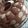 Cooksnap dari Annisa Yuniar untuk resep Puding polkadot moka coklat