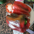 El cooksnap de Sara Aracil cuando hizo Pimientos rellenos.