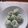 Cooksnap dari riadwi untuk resep Klepon