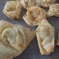 Saira Abdullah's cooksnap of when they made Wontons.