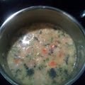 INSANExBUTCHER's cooksnap of when they made Broccoli and Cauliflower Cheddar Soup.