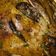 Cooksnap dari Lukita Raya Caem untuk resep Ikan panggang kuah santan pedas