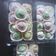 Cooksnap dari Gave Bunda Zidan untuk resep Mochi Isi Kacang