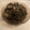 El cooksnap de Eduardo Agudo Alba cuando hizo Arroz negro con salsa allioli.