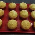amina.a.hassan's cooksnap of when they made Vanilla Cupcakes.