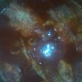 El cooksnap de Athziri Ali B.Z cuando hizo Pollo al guajillo para niños.