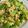 รูป Cooksnap ของ KARUNTEE KUNTHON เมื่อเขาทำ แตงกวาผัดไข่